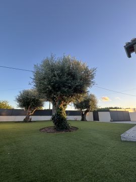 Serviço de Jardinagem