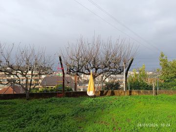 Jardinagem e Relvados