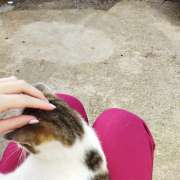Jéssica - Loures - Pet Sitting e Pet Walking
