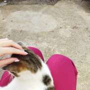 Jéssica - Loures - Pet Sitting and Walking