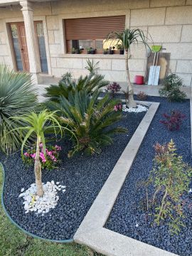 Natura jardins - Esposende - Shrub Removal