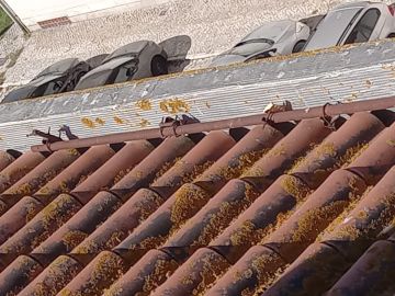 Roof Installation Professional