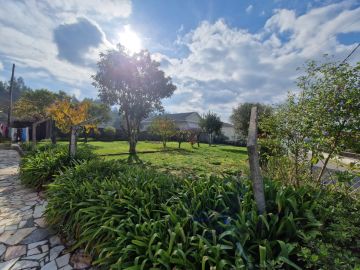 Serviço de Jardinagem