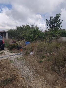 Serviço de Jardinagem