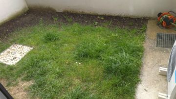 Artificial Turf Specialist - Home Improvements