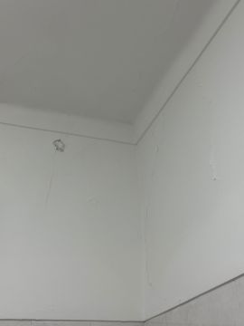 Pintor de interiores