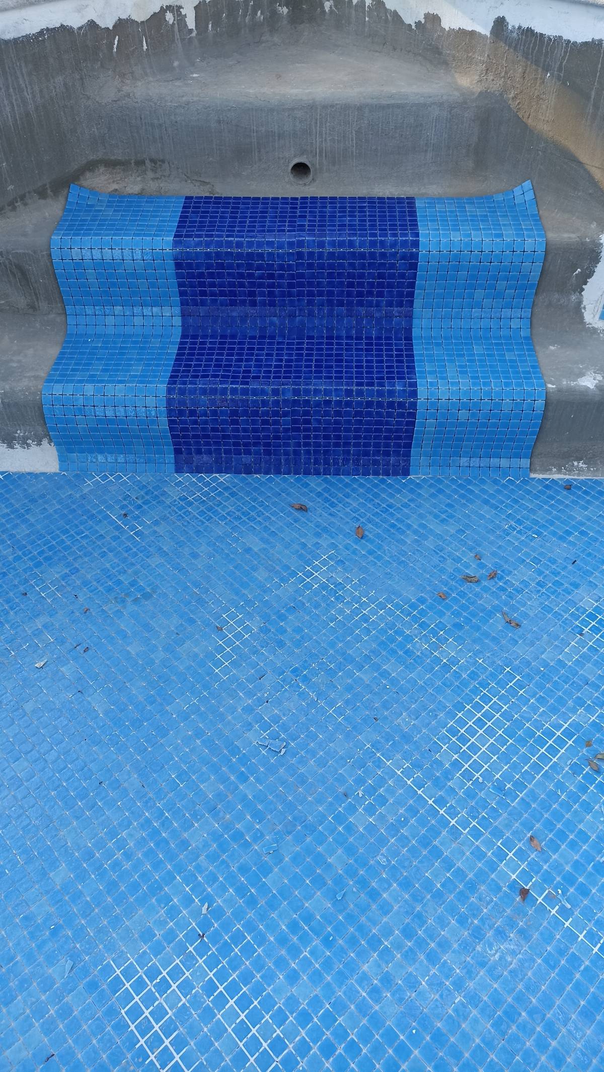 NX-SERVICE - Portimão - Pet Door Installation