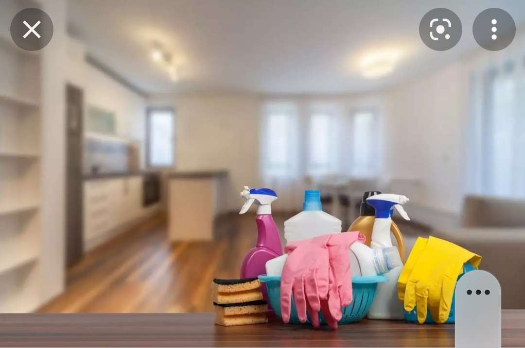 Andreia - Sintra - Home Organizing