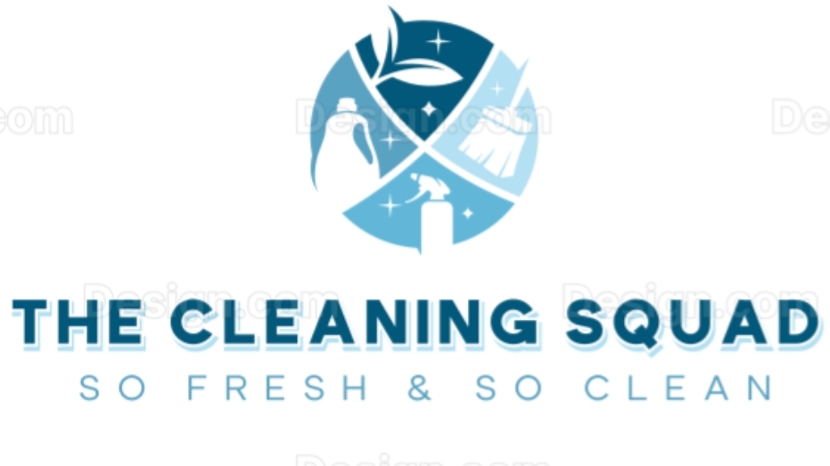 The cleaning squad - Lagoa - Home Organizing