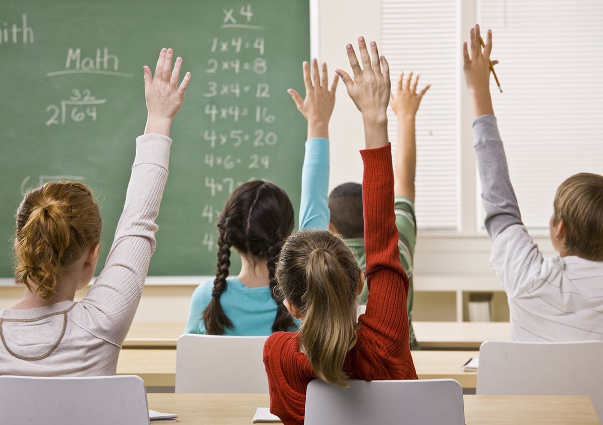 Professor 1.º ciclo/ Explicações Coimbra/online - Coimbra - Portuguese Classes