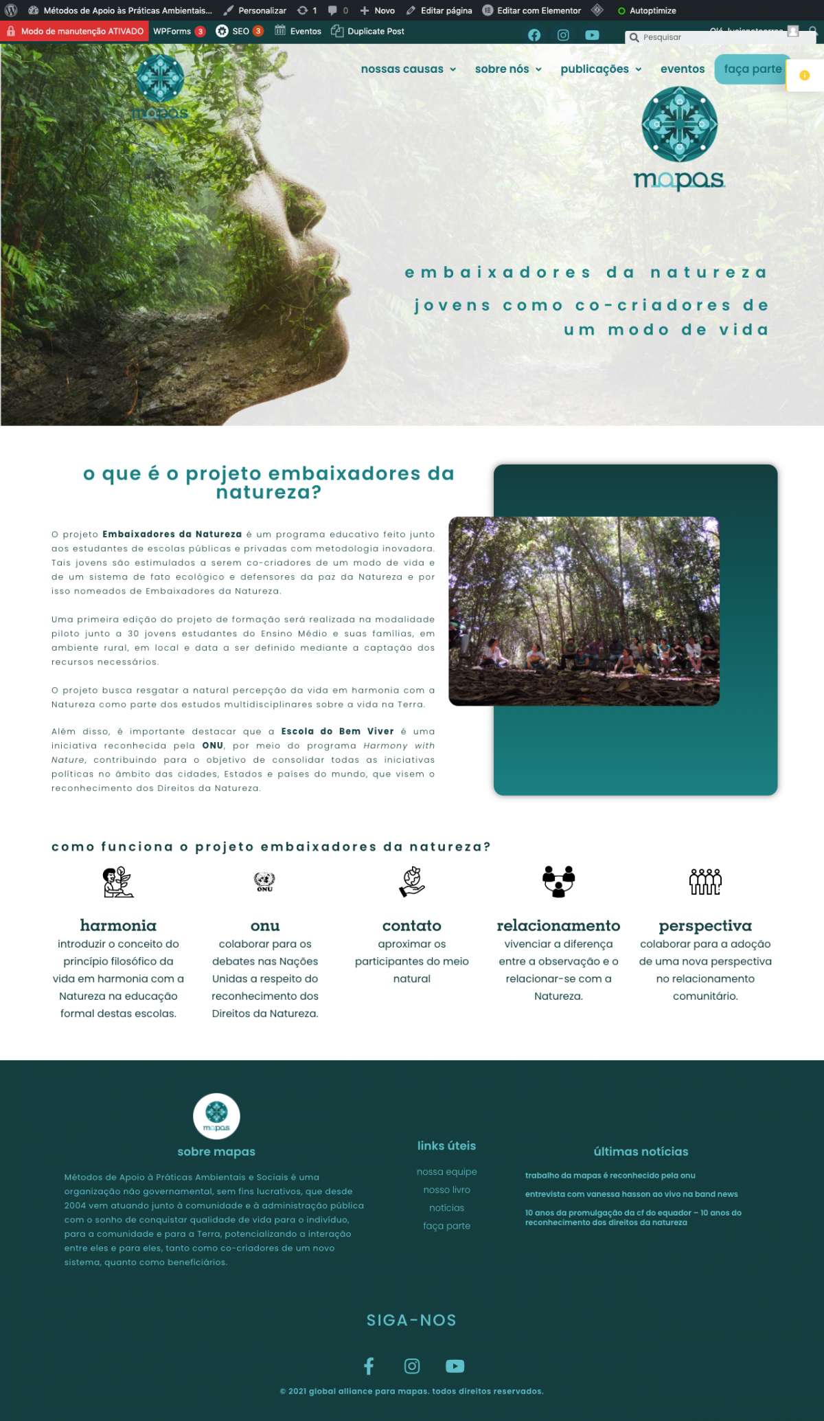 Luciane Teixeira Correa - Lisboa - Logo Design