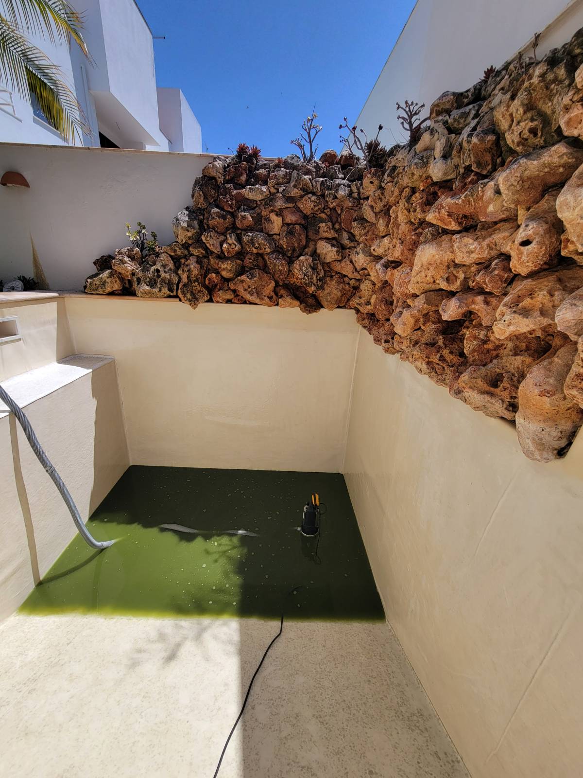 Filipe Cavaco - Tavira - Jardinagem