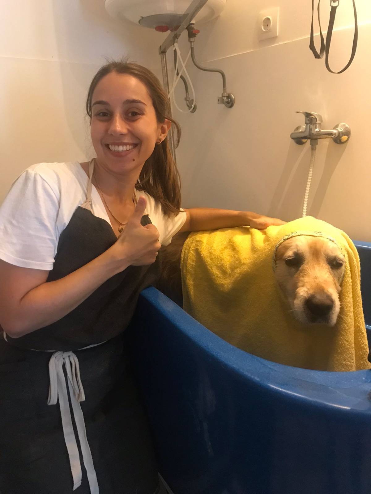 Inês Roque - Happy Paws Groomer - Almada - Haustiere - Pflege
