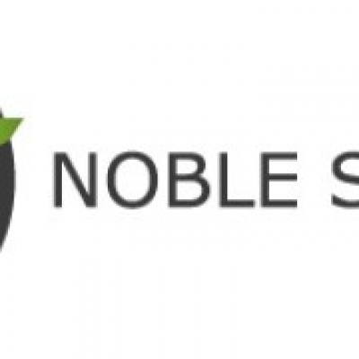 Noble Strategy - Montijo - Design de Logotipos