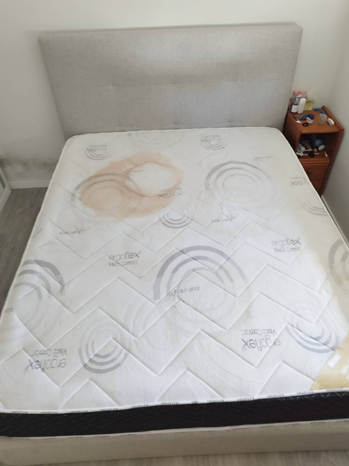 Original Clean - Lousada - Teppich-, Vorlegerreinigung