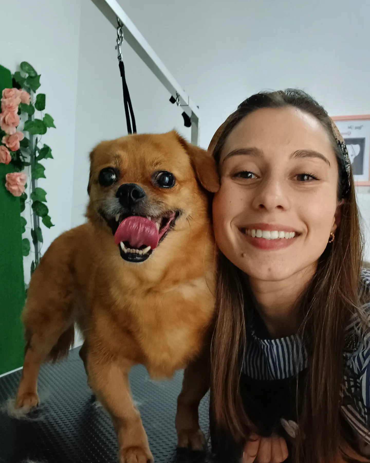 Inês Roque - Happy Paws Groomer - Almada - Haustierpflege