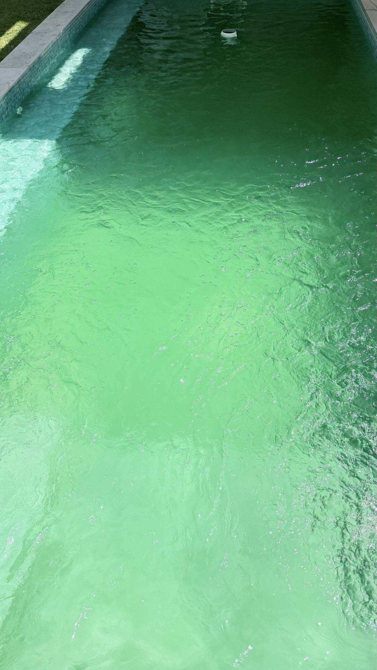 RN PISCINAS - Sintra - Swimming Pool Cleaning or Maintenance