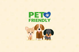 Pet Friendly - Serviços - Portimão - Dog Walking