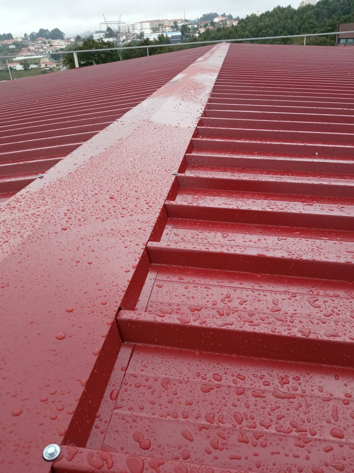 Ivan - Gondomar - Instalação de Porta para Animais de Estimação