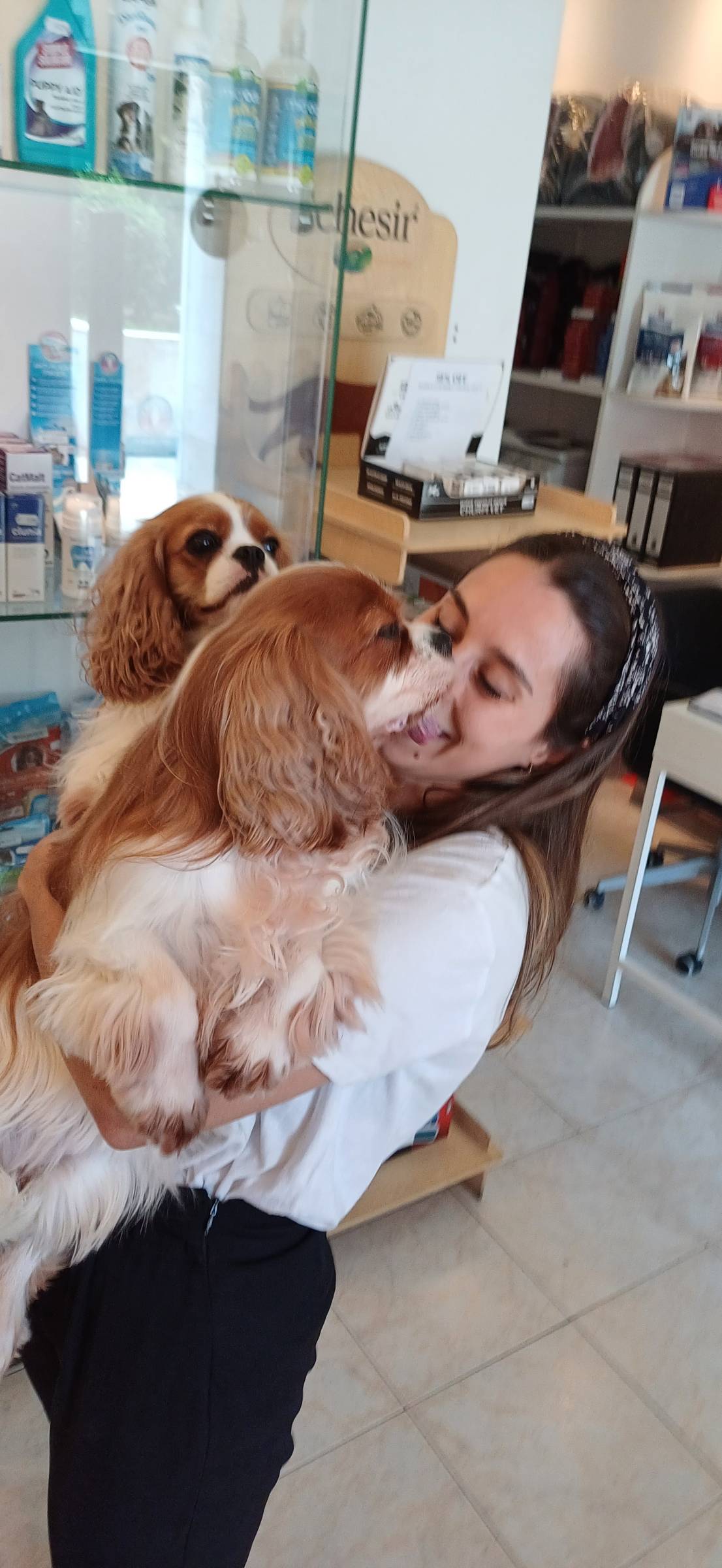 Inês Roque - Happy Paws Groomer - Almada - Haustierpflege