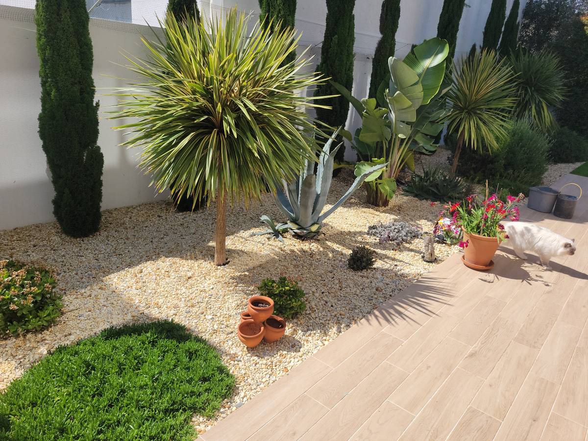 Filipe Cavaco - Tavira - Limpa-neves (Residencial)
