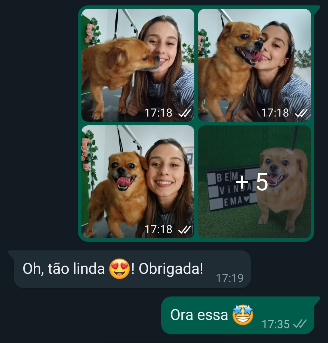Inês Roque - Happy Paws Groomer - Almada - Haustierpflege