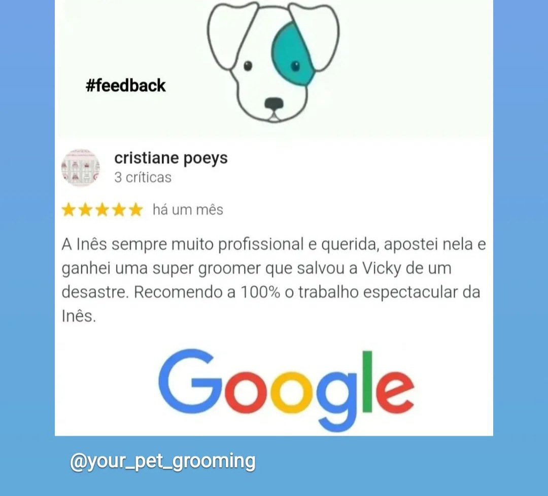 Inês Roque - Happy Paws Groomer - Almada - Haustiere - Pflege