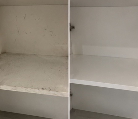 Larissa Fontana - Amadora - Cleaning Out