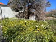 Lawncare