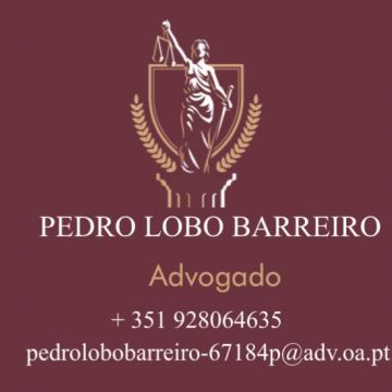 Pedro Lobo Barreiro - Braga - Advogado de Direito Imobiliário