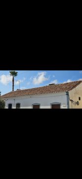 N.b. - Tavira - Enlèvement de souches d’arbres