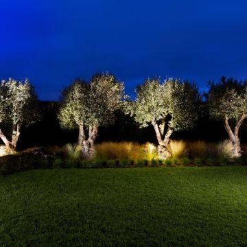 Ava Jardins & Limpeza - Faro - Fotografia de Casamentos