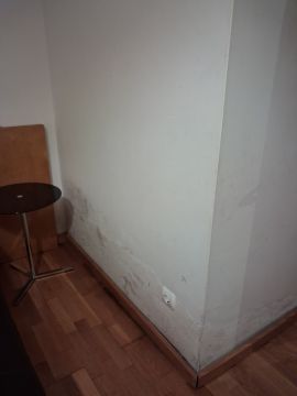 Pintor de Casas