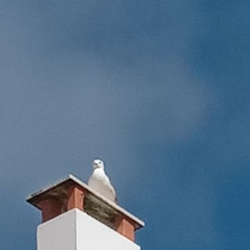 Ab pintura - Mafra - Calafetagem