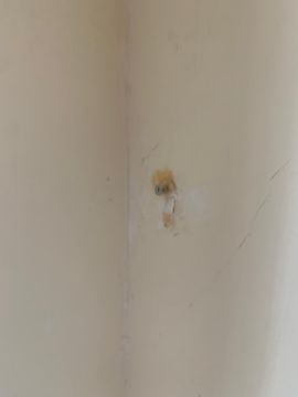 Interior Painter