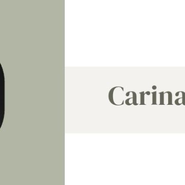 Au seu serviço - Setúbal - House Cleaning (Recurring)