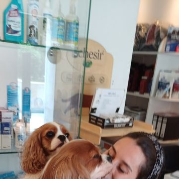 Inês Roque - Happy Paws Groomer - Almada - Haustierpflege