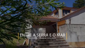 Margarida Afonso - Almada - Edição de Vídeo