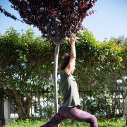 Inês Mira - Oeiras - Hatha Yoga