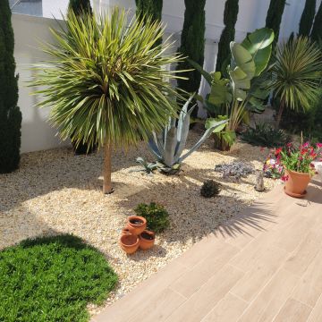 Filipe Cavaco - Tavira - Limpa-neves (Residencial)