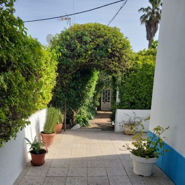 Filipe Cavaco - Tavira - Poda e Manutenção de Árvores