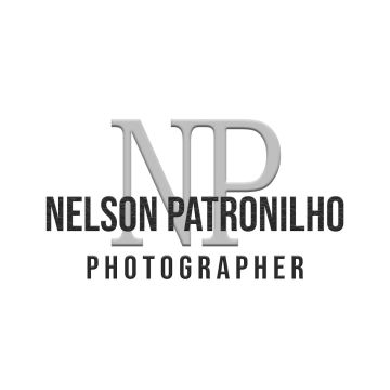 Nelson Patronilho Photographer - Sintra - Photographie d'animaux de compagnie