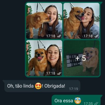 Inês Roque - Happy Paws Groomer - Almada - Haustierpflege