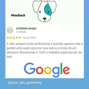 Inês Roque - Happy Paws Groomer - Almada - Haustiere - Pflege