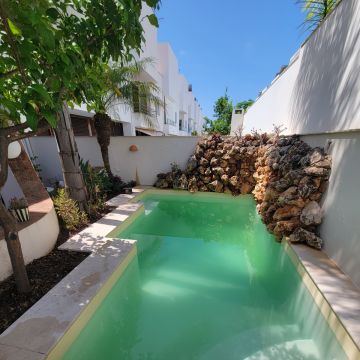 Filipe Cavaco - Tavira - Limpeza de Terrenos