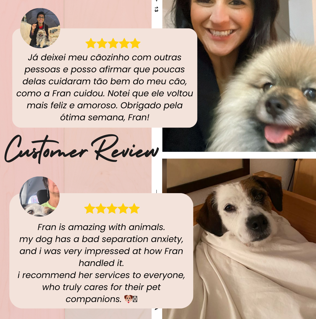 Pet Lover Fran - Lisboa - Dog Walking