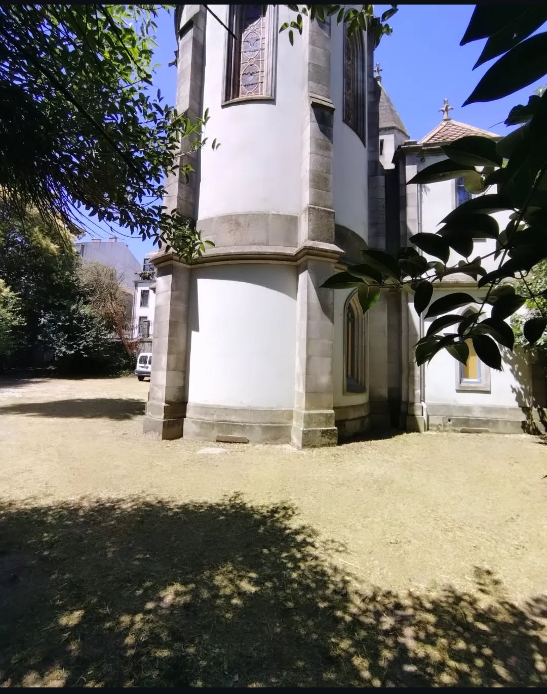 Arbo Jardinagem - Porto - Remoção de Tronco de Árvore