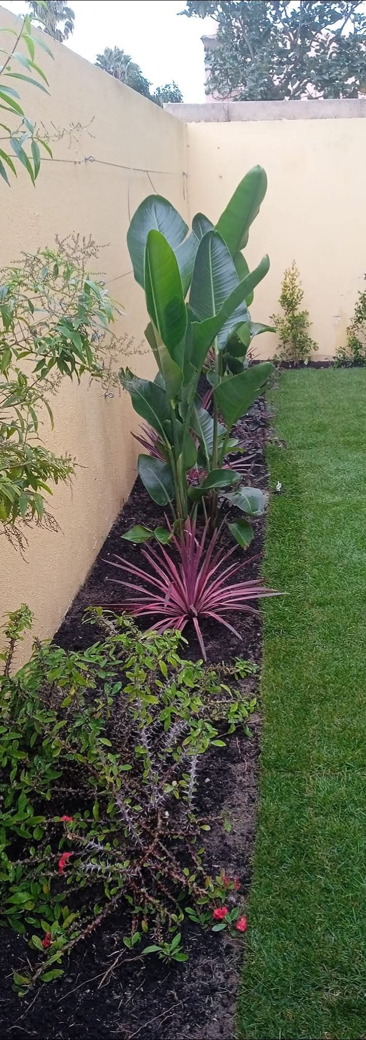margardens.marclear - Montijo - Shrub Planting