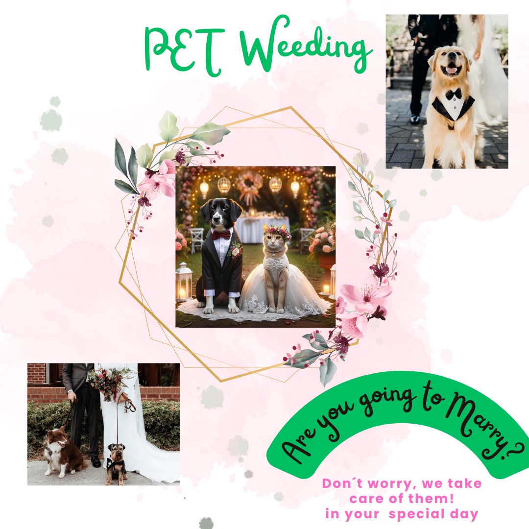 Pet Lover Fran - Lisboa - Dog Sitting