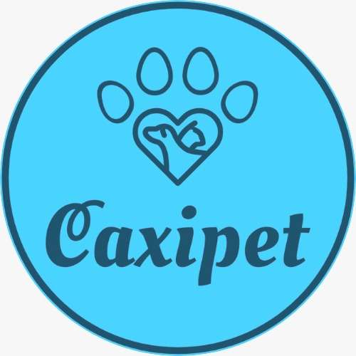 Caxipet-Caxinas Pet Care - Vila do Conde - Cat Sitting